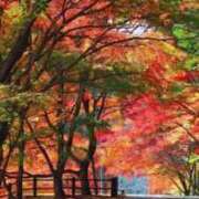 ヒメ日記 2025/12/17 13:28 投稿 倉田(くらた) 熟女出逢い会『百合の園』目黒店