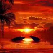 ヒメ日記 2025/12/19 05:48 投稿 倉田(くらた) 熟女出逢い会『百合の園』目黒店