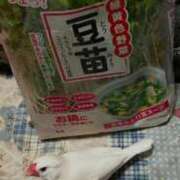 ヒメ日記 2025/12/21 14:08 投稿 倉田(くらた) 熟女出逢い会『百合の園』目黒店