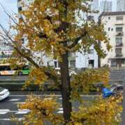 ヒメ日記 2025/12/21 14:28 投稿 倉田(くらた) 熟女出逢い会『百合の園』目黒店