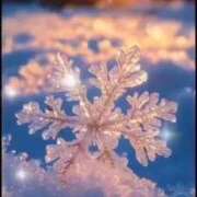 ヒメ日記 2025/12/24 17:18 投稿 倉田(くらた) 熟女出逢い会『百合の園』目黒店