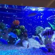 ヒメ日記 2026/01/13 07:48 投稿 倉田(くらた) 熟女出逢い会『百合の園』目黒店