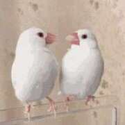 ヒメ日記 2026/01/14 16:28 投稿 倉田(くらた) 熟女出逢い会『百合の園』目黒店