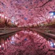 倉田(くらた) 桜🌸 熟女出逢い会『百合の園』目黒店