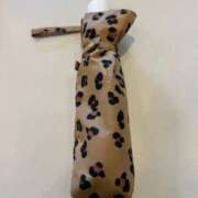 ヒメ日記 2026/04/02 05:58 投稿 倉田(くらた) 熟女出逢い会『百合の園』目黒店