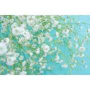 吾妻音爽良 本日... ゴールドクイーン