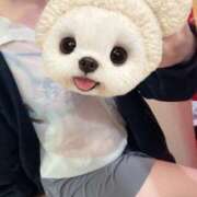 ヒメ日記 2025/12/11 06:33 投稿 かこ みつらん鉄道