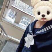 ヒメ日記 2026/02/09 16:25 投稿 かこ みつらん鉄道