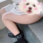 ヒメ日記 2026/02/12 17:44 投稿 かこ みつらん鉄道