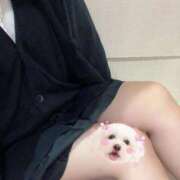 ヒメ日記 2026/02/17 08:04 投稿 かこ みつらん鉄道