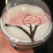 ヒメ日記 2026/02/23 19:54 投稿 かこ みつらん鉄道