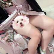 ヒメ日記 2026/03/04 06:34 投稿 かこ みつらん鉄道