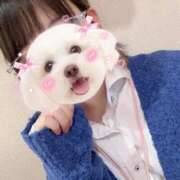 ヒメ日記 2026/03/29 18:13 投稿 かこ みつらん鉄道