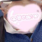 ヒメ日記 2026/04/03 08:14 投稿 かこ みつらん鉄道