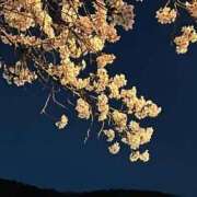 ヒメ日記 2026/04/10 12:04 投稿 かこ みつらん鉄道