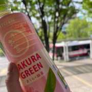 かこ 🌸🌱 みつらん鉄道