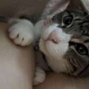 ヒメ日記 2025/10/04 23:08 投稿 サナ ちゃんこ本厚木店