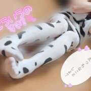 ヒメ日記 2025/10/08 21:39 投稿 サナ ちゃんこ本厚木店