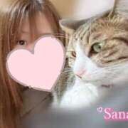 ヒメ日記 2025/10/20 22:56 投稿 サナ ちゃんこ本厚木店