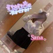 サナ 明日の夜いるよっ ちゃんこ本厚木店