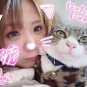 ヒメ日記 2026/06/21 11:30 投稿 サナ ちゃんこ本厚木店
