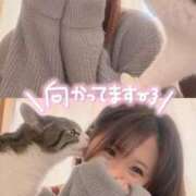 ヒメ日記 2026/06/22 10:22 投稿 サナ ちゃんこ本厚木店
