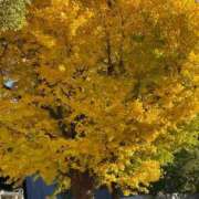 ヒメ日記 2025/11/28 21:31 投稿 さやか 西船人妻花壇