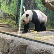 ヒメ日記 2025/12/20 10:59 投稿 さやか 西船人妻花壇