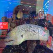 ヒメ日記 2026/01/24 09:14 投稿 さやか 西船人妻花壇