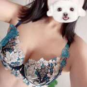 ヒメ日記 2026/03/28 17:30 投稿 さやか 西船人妻花壇