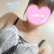 ヒメ日記 2025/11/16 10:26 投稿 きら EXE【都城本店】