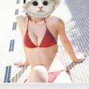 ヒメ日記 2025/11/12 18:18 投稿 かなた《現役看護師美熟女》 LEXE ～レグゼ～