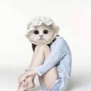 ヒメ日記 2025/12/02 12:33 投稿 かなた《現役看護師美熟女》 LEXE ～レグゼ～