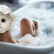 ヒメ日記 2025/12/28 10:18 投稿 かなた《現役看護師美熟女》 LEXE ～レグゼ～