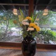 ヒメ日記 2025/11/10 00:11 投稿 ほの 錦糸町ミセスアロマ（ユメオト）