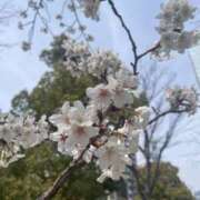 ヒメ日記 2026/03/22 13:42 投稿 ほの 錦糸町ミセスアロマ（ユメオト）