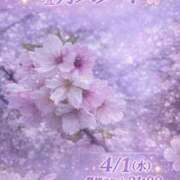 ヒメ日記 2026/04/01 12:50 投稿 ほの 錦糸町ミセスアロマ（ユメオト）