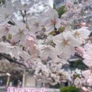 ヒメ日記 2026/04/05 14:12 投稿 ほの 錦糸町ミセスアロマ（ユメオト）