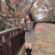 あさひ ☀️滞りまして…＆11月のこと☀️ JAPAN CLUB BUNNY LOUNGE