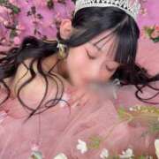 ヒメ日記 2025/12/17 21:25 投稿 あさひ JAPAN CLUB BUNNY LOUNGE