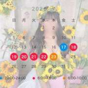ヒメ日記 2026/07/07 15:42 投稿 あさひ JAPAN CLUB BUNNY LOUNGE