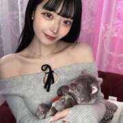 ヒメ日記 2025/10/10 12:23 投稿 めあり Gossip girl