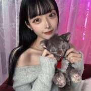 ヒメ日記 2026/03/28 16:30 投稿 めあり Gossip girl