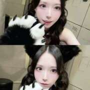 しいな ダイエットが一番の整形‪❤︎‬‪ CHERRY WEST(チェリーウエスト)