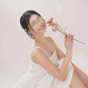 ヒメ日記 2025/11/13 10:00 投稿 あまね ムーランルージュ