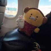 ヒメ日記 2025/12/16 15:15 投稿 あまね ムーランルージュ