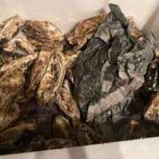 ヒメ日記 2026/01/16 21:17 投稿 あおい 池袋千姫