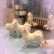 ヒメ日記 2025/10/28 16:33 投稿 もみじ 池袋あられ