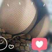 ヒメ日記 2025/11/20 11:09 投稿 つぐみ 鶯谷おかあさん