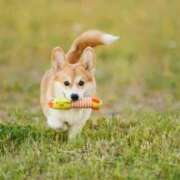 ヒメ日記 2025/10/17 22:34 投稿 かすみ 宮城仙南ちゃんこ